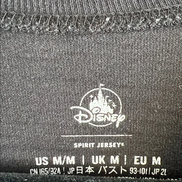Disney Parks Walt Disney World Spirit Jersey - Picture 8 of 13